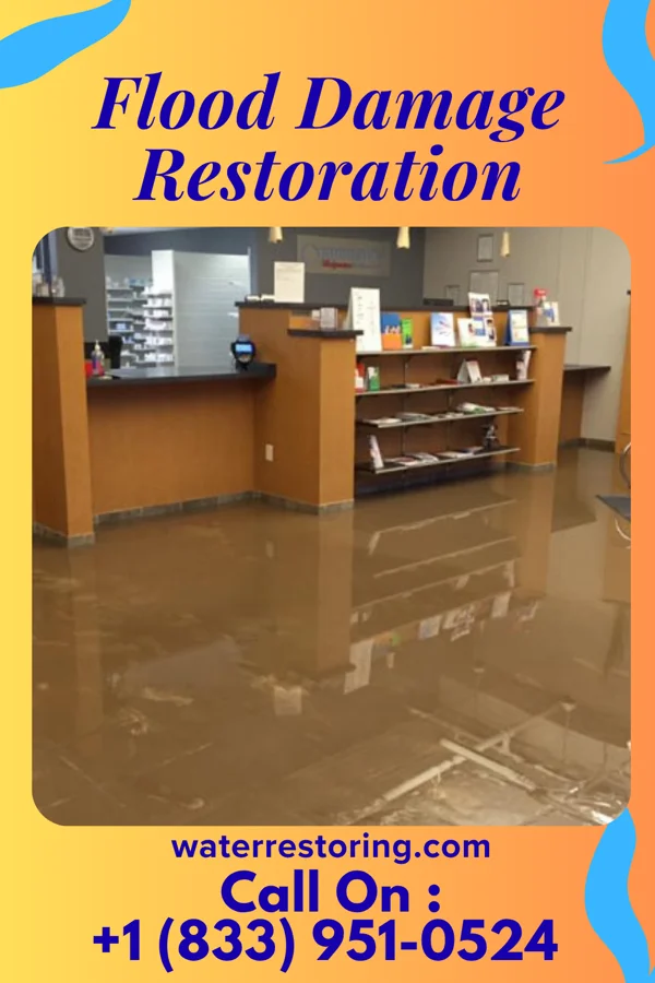 Flood Damage Restoration in Isle of Palms, SC