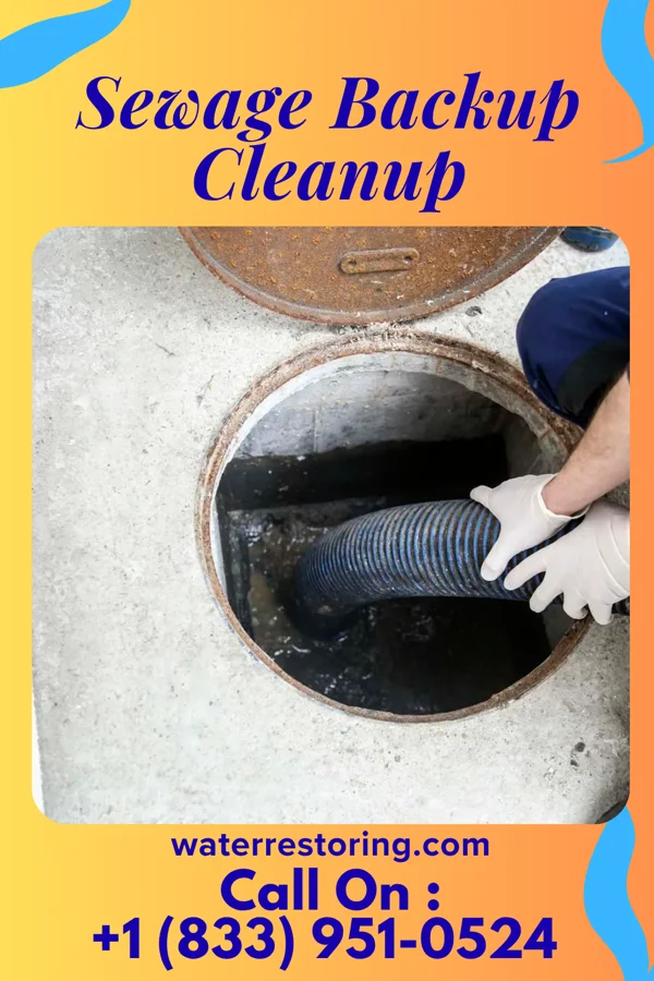 Sewage Backup Cleanup in Isle of Palms, SC