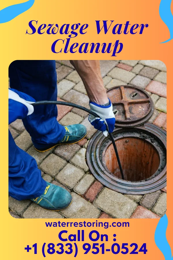 Sewage Water Cleanup in Isle of Palms, SC